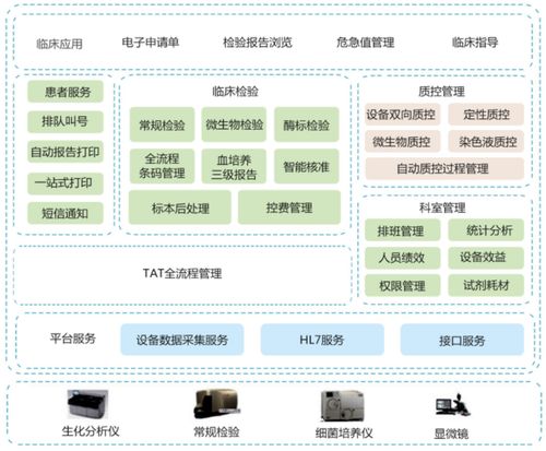 .NET C#語(yǔ)言開(kāi)發(fā)的實(shí)驗(yàn)室管理信息系統(tǒng)（LIS）源碼解析與數(shù)據(jù)庫(kù)兼容性探討